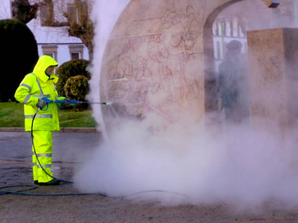 Best Residential Pressure Washing Services  in Lomira, WI